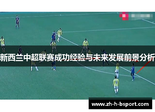 新西兰中超联赛成功经验与未来发展前景分析 新西兰中超联赛成功经验与未来发展前景分析