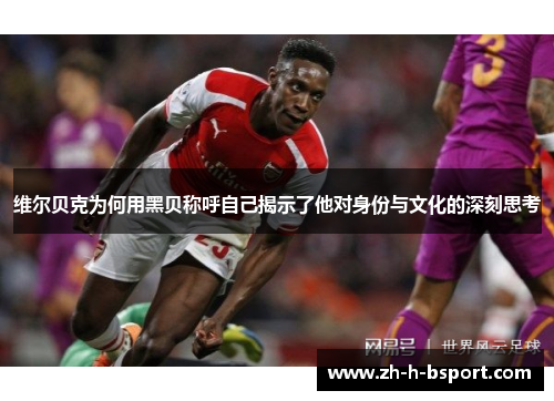 维尔贝克为何用黑贝称呼自己揭示了他对身份与文化的深刻思考