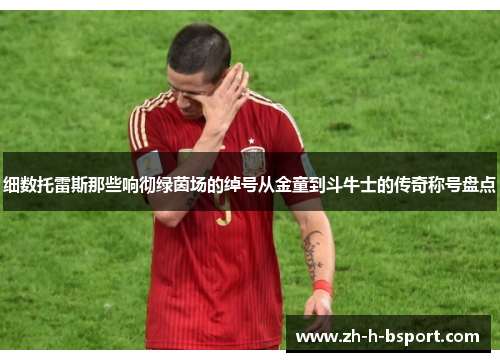 细数托雷斯那些响彻绿茵场的绰号从金童到斗牛士的传奇称号盘点