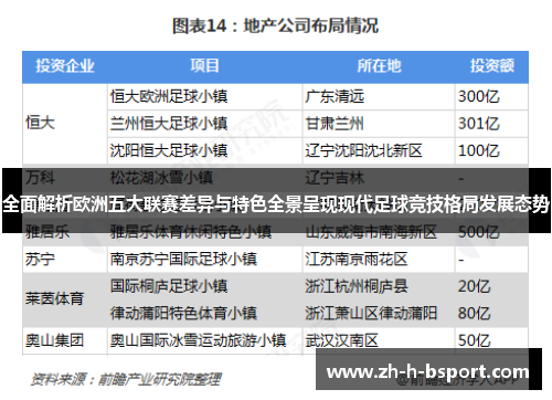 全面解析欧洲五大联赛差异与特色全景呈现现代足球竞技格局发展态势