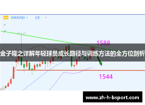 金子隆之详解年轻球员成长路径与训练方法的全方位剖析