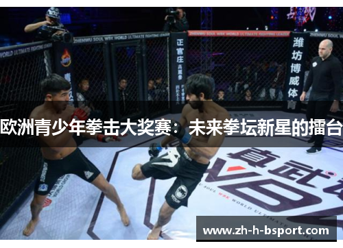 欧洲青少年拳击大奖赛：未来拳坛新星的擂台