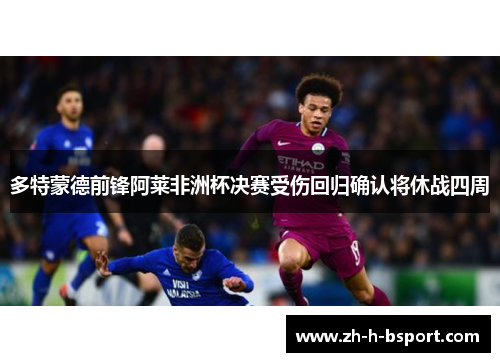多特蒙德前锋阿莱非洲杯决赛受伤回归确认将休战四周 多特蒙德前锋阿莱非洲杯决赛受伤回归确认将休战四周