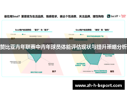 赞比亚青年联赛中青年球员体能评估现状与提升策略分析