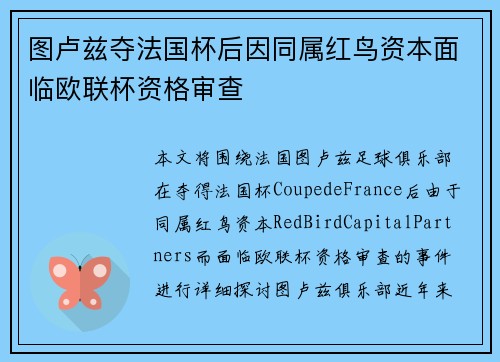 图卢兹夺法国杯后因同属红鸟资本面临欧联杯资格审查
